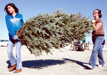 Killeen residents mulch trees for use in city gardens